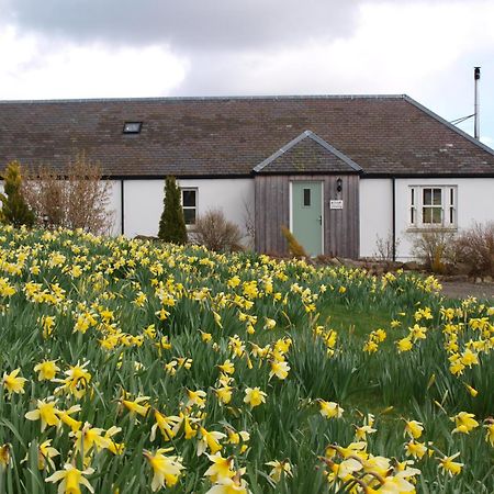 Dalnoid Cottages & Treehouses Nr Glenshee Buitenkant foto