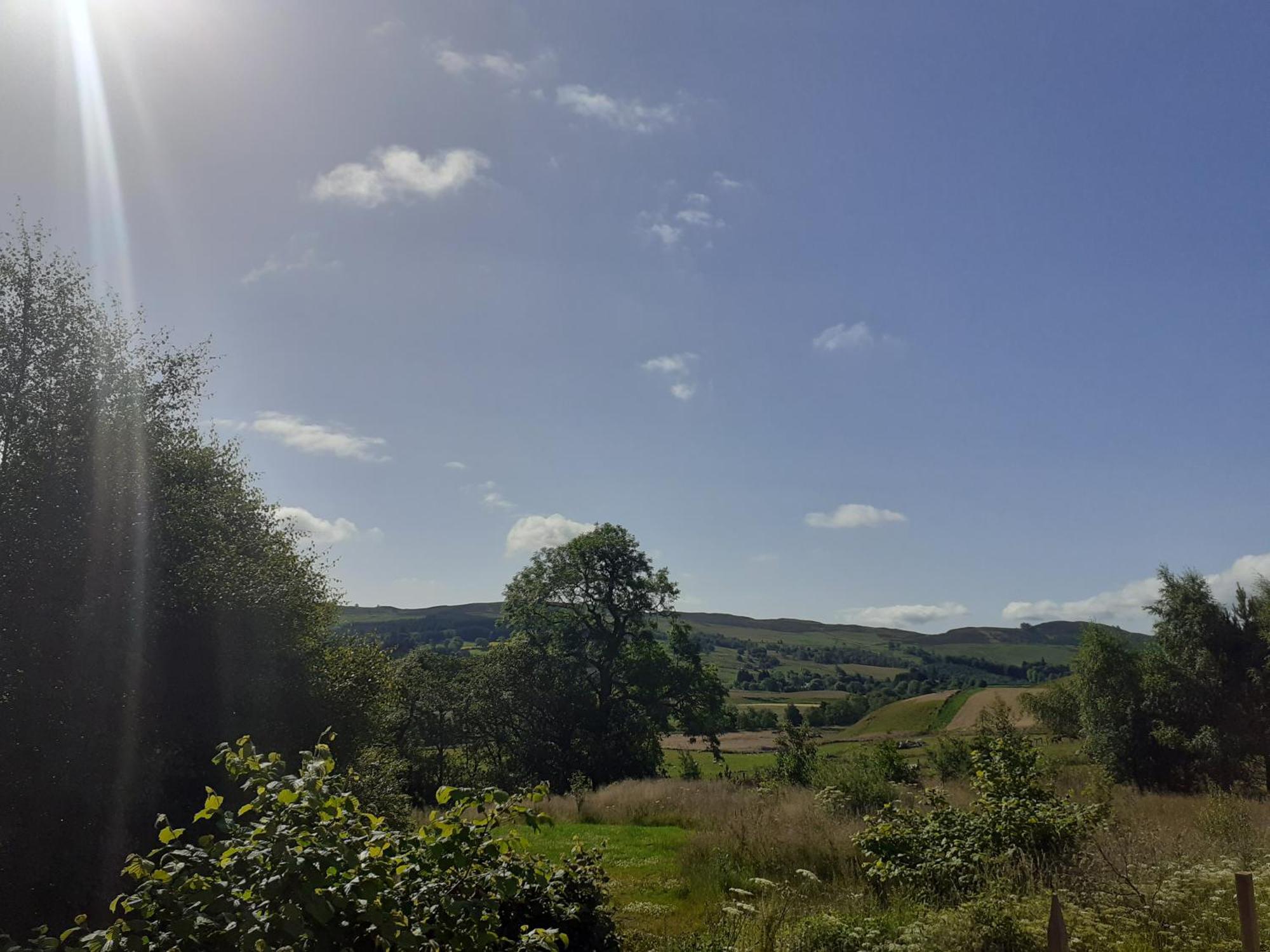 Dalnoid Cottages & Treehouses Nr Glenshee Buitenkant foto
